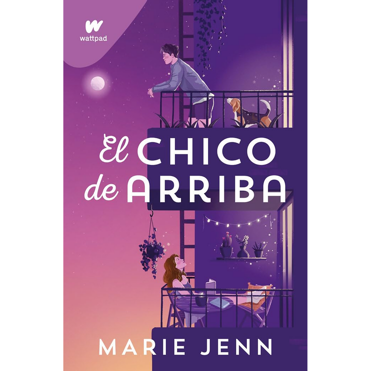 El chico de arriba